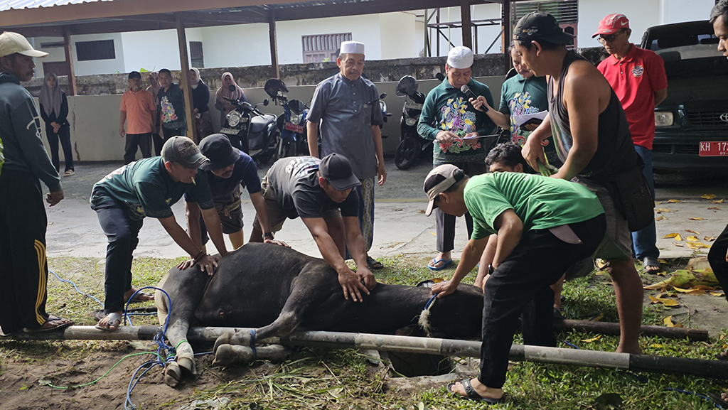 qurban 2025 1