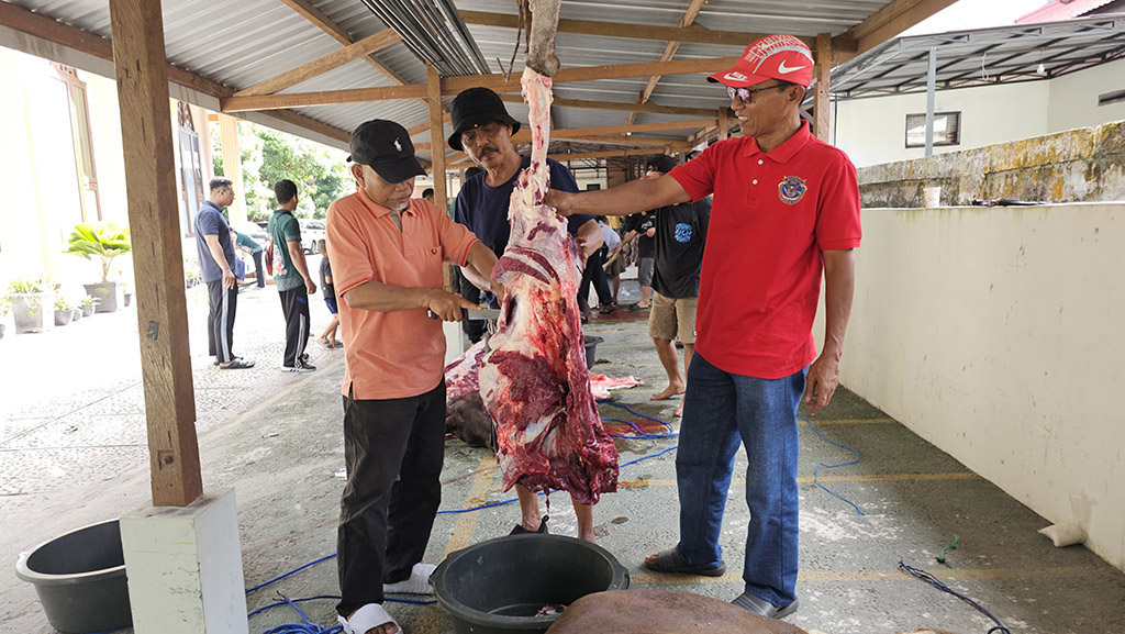 qurban 2025 2